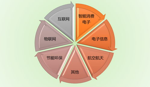 功能膜材料行業(yè)競爭格局與技術(shù)水平分析 附報告目錄